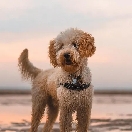 Hotell Beachhouse 4*