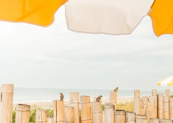 酒店 海滨别墅酒店 赞德沃特