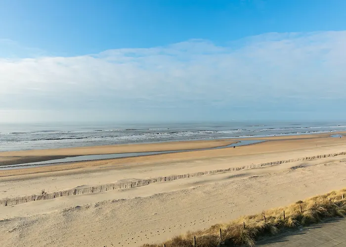 酒店 海滨别墅酒店 4*